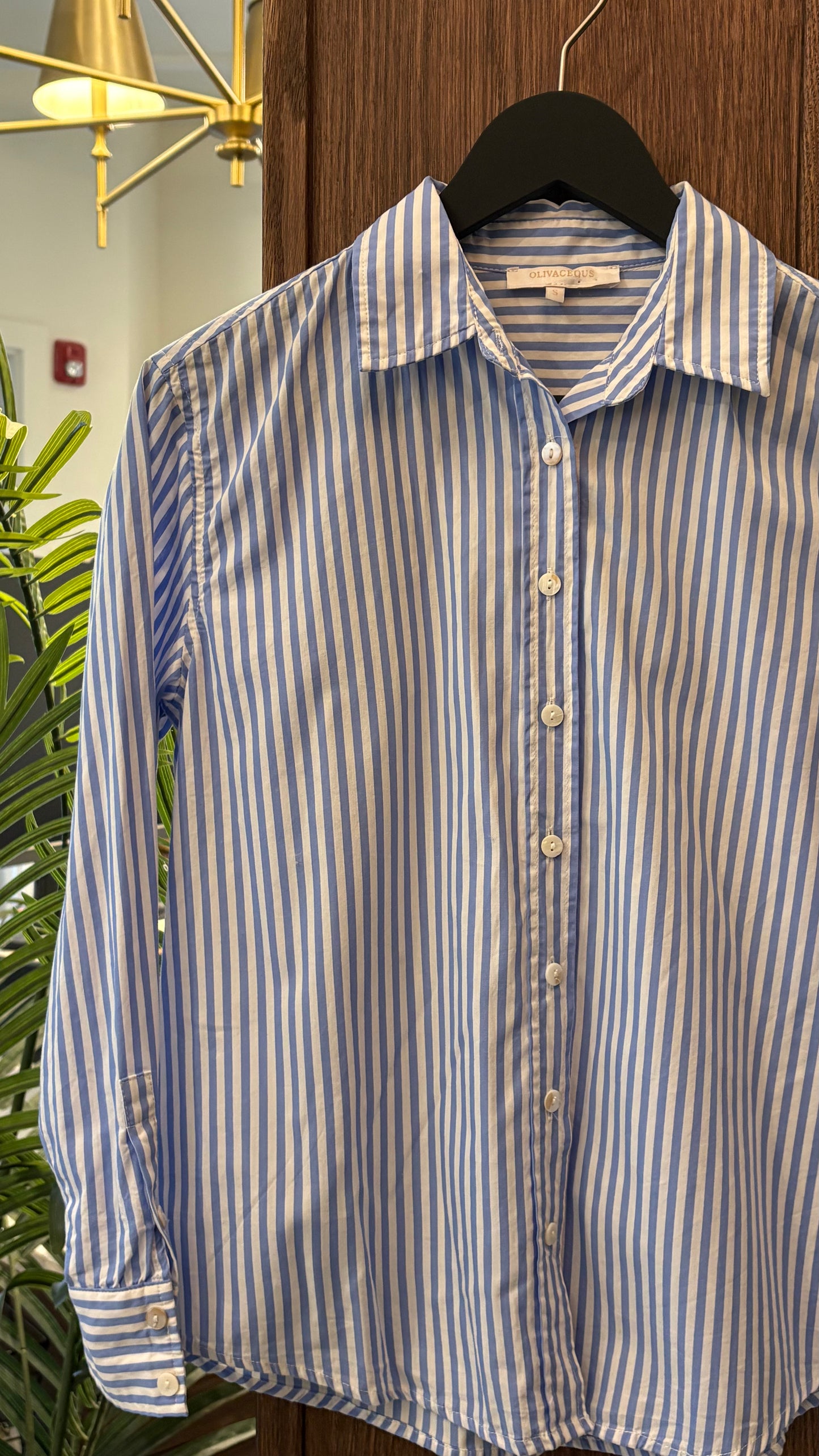 Oliviaceos- Size S
