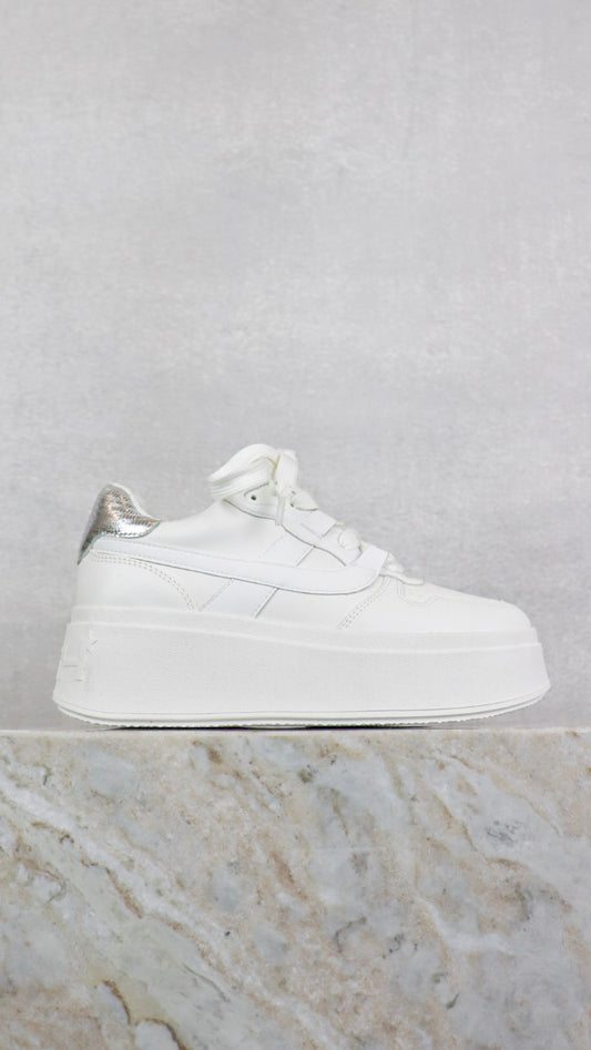 Ash -Size 36