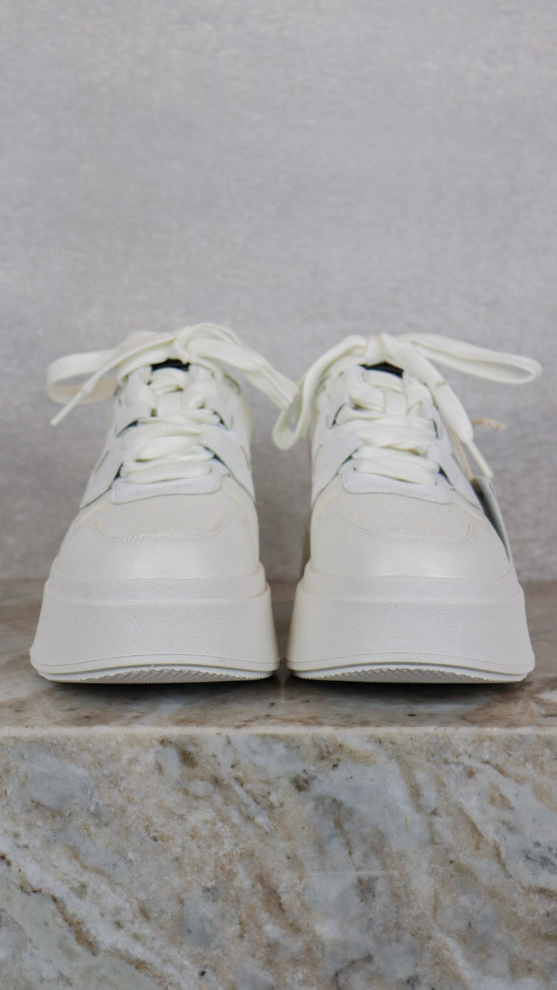 Ash -Size 36