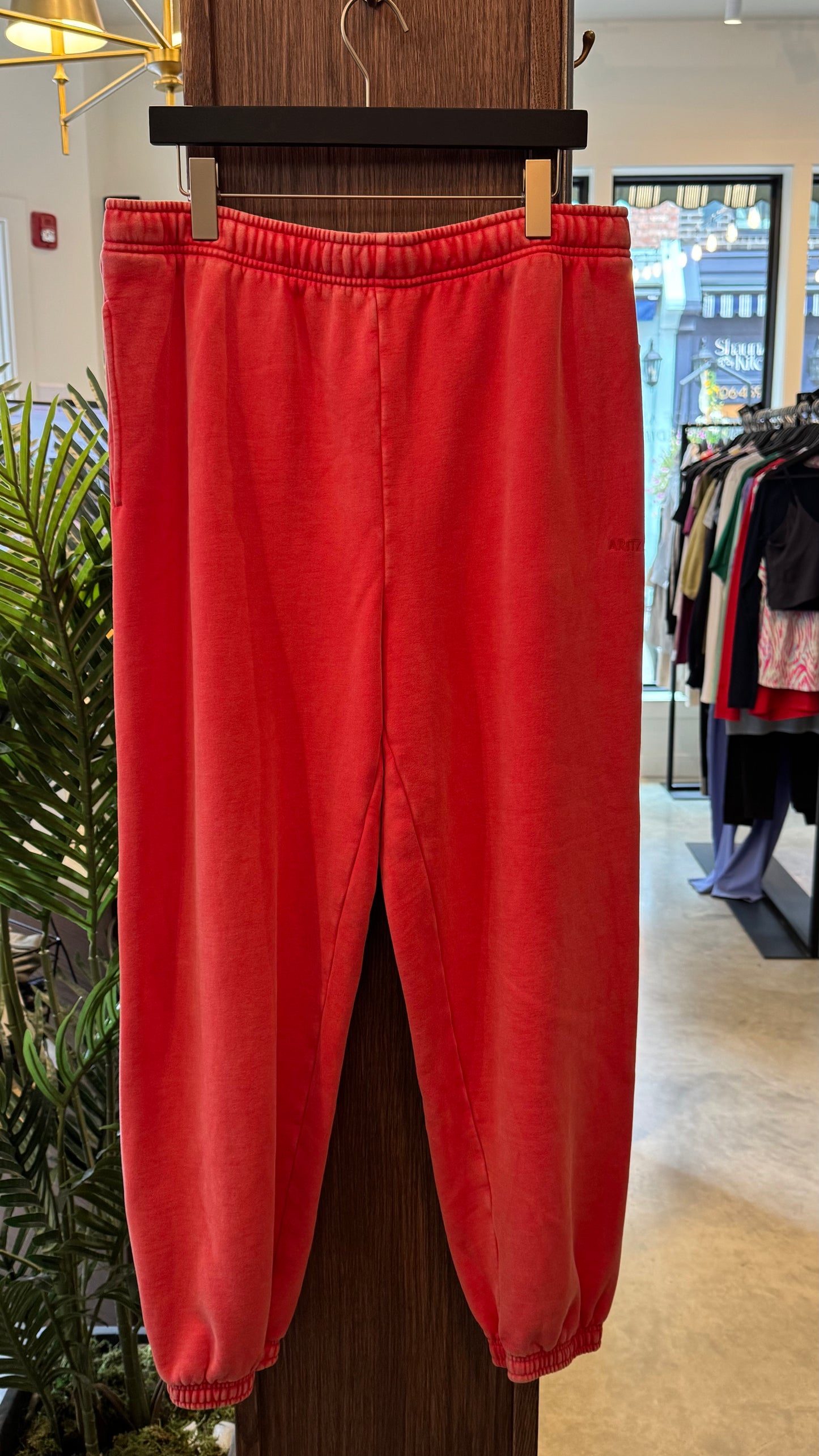 Aritzia - Size L