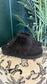 Stuart Weitzman - Size 37
