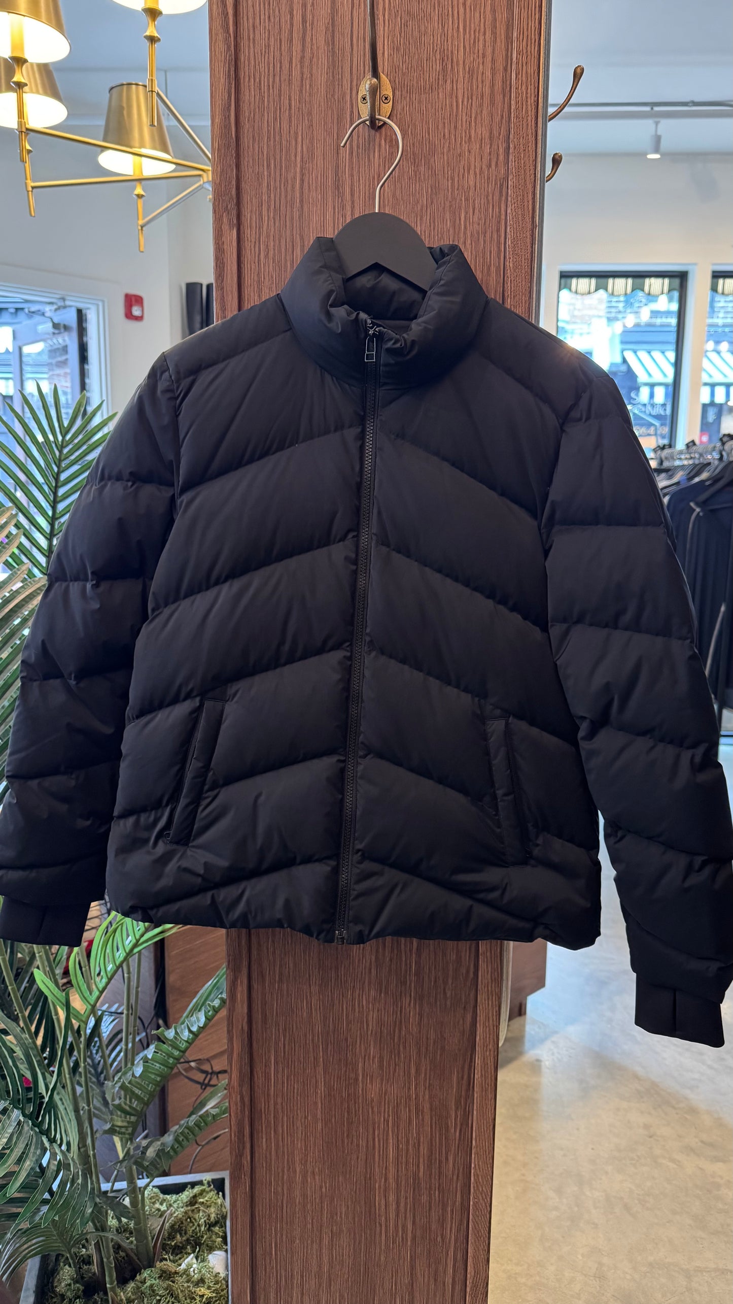 Theory - Size Small