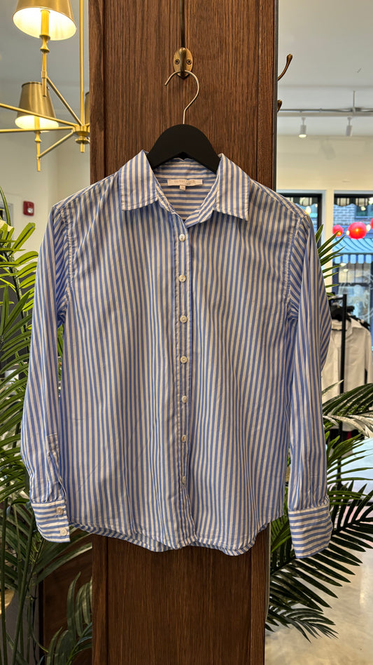 Oliviaceos- Size S