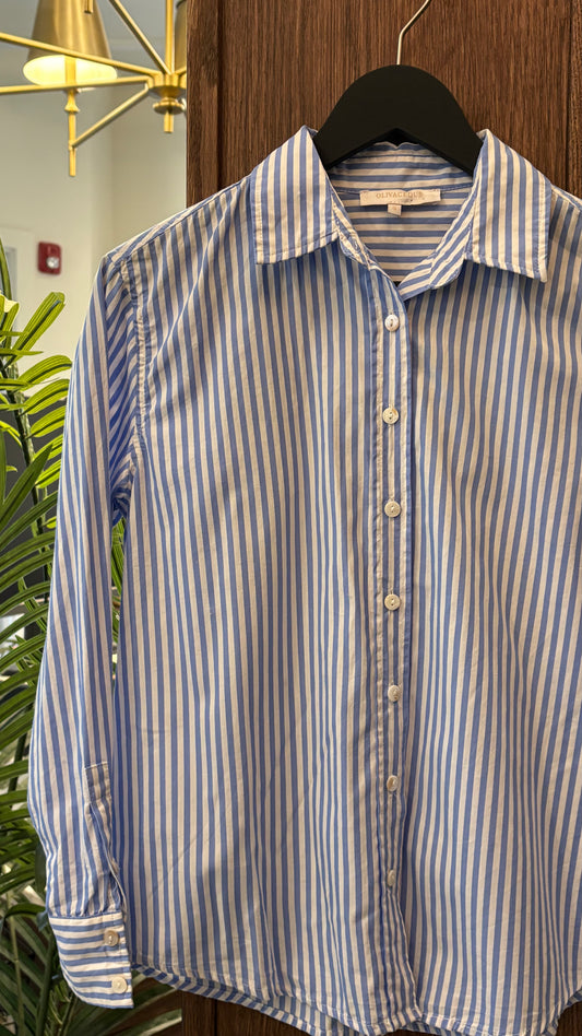 Oliviaceos- Size S