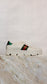 Gucci - Size 41